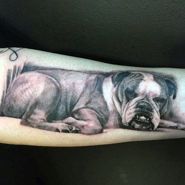 tatouage chien 52