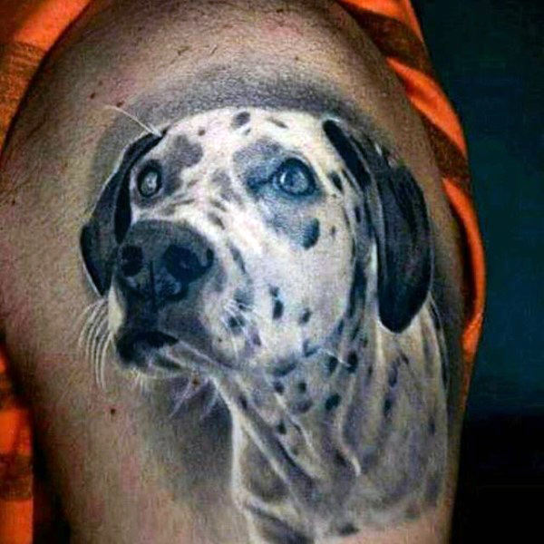 tatouage chien 66
