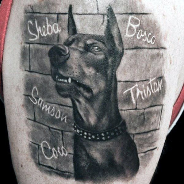 tatouage chien 72