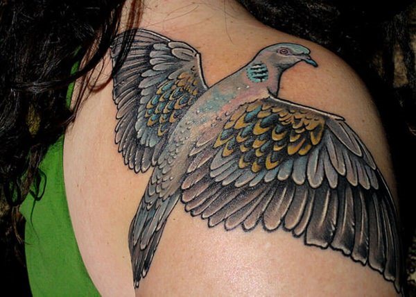tatouage colombe 110