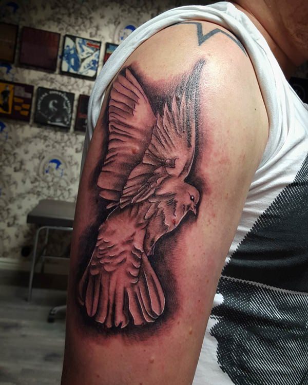 tatouage colombe 120