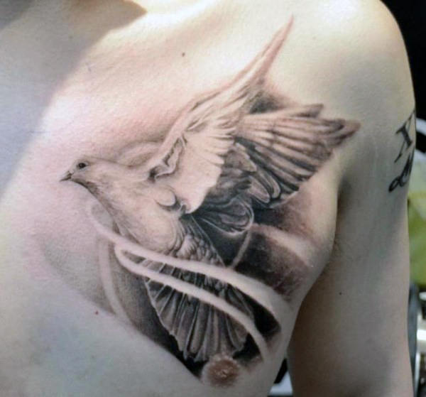 tatouage colombe 174