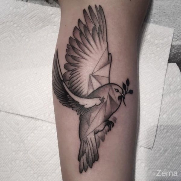 tatouage colombe 190