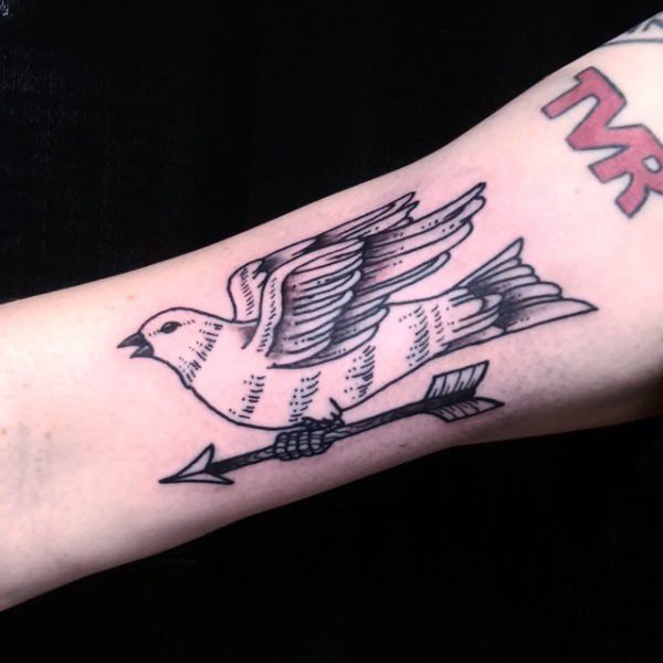 tatouage colombe 210