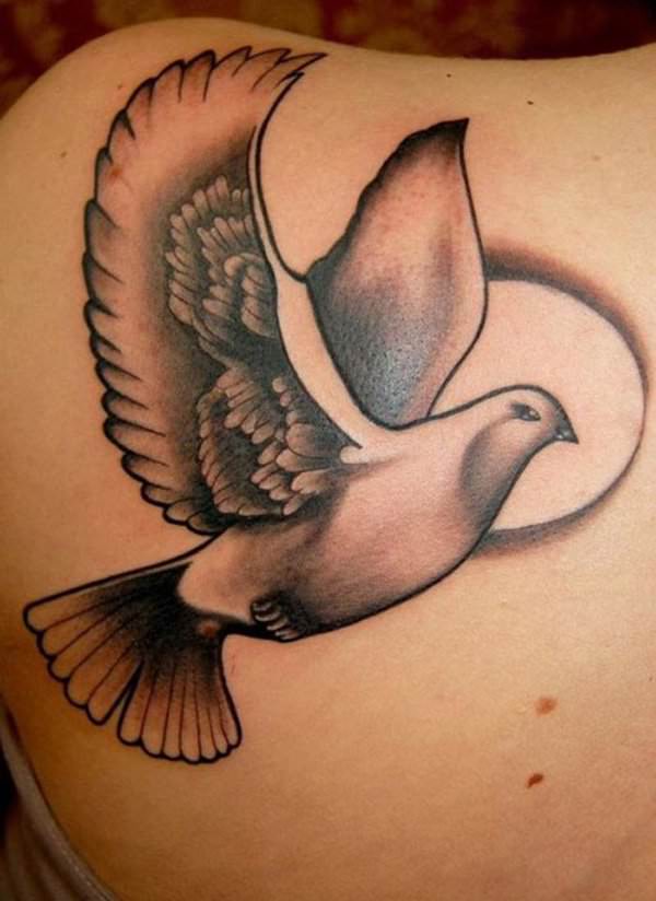 tatouage colombe 214