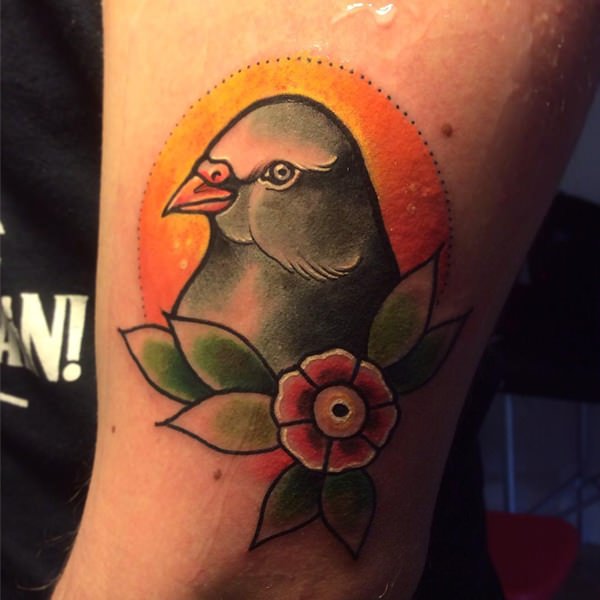 tatouage colombe 66