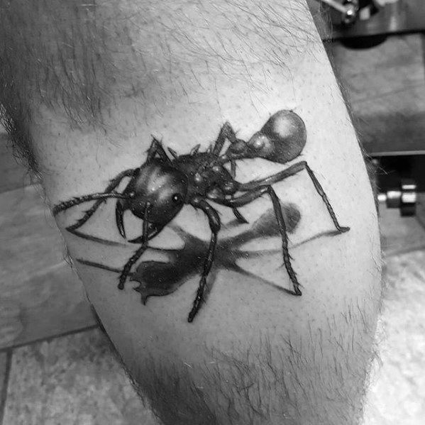tatouage fourmis 02