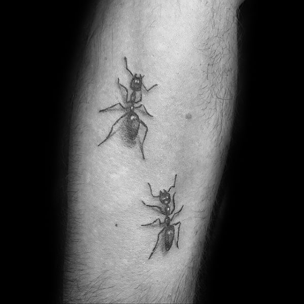 tatouage fourmis 10