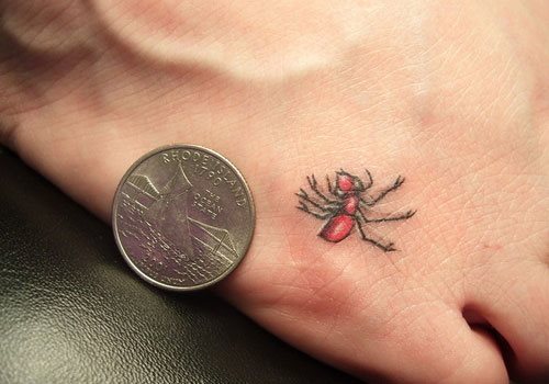 tatouage fourmis 168