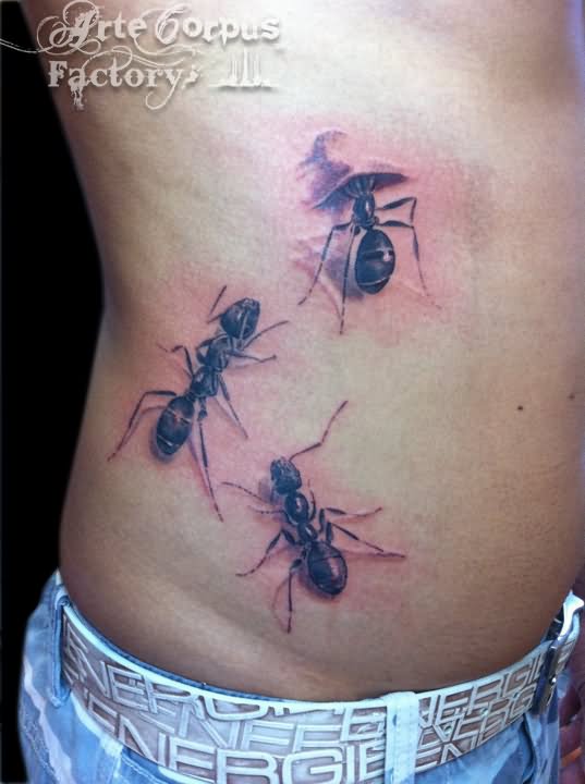 tatouage fourmis 186