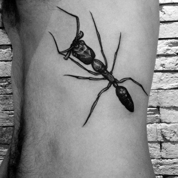 tatouage fourmis 20