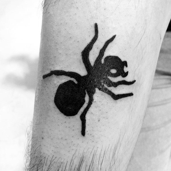 tatouage fourmis 22