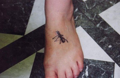 tatouage fourmis 34
