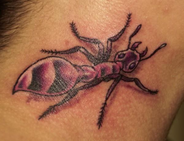 tatouage fourmis 36