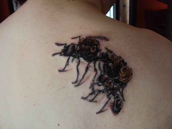 tatouage fourmis 46