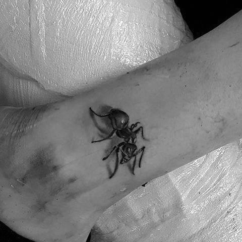 tatouage fourmis 56