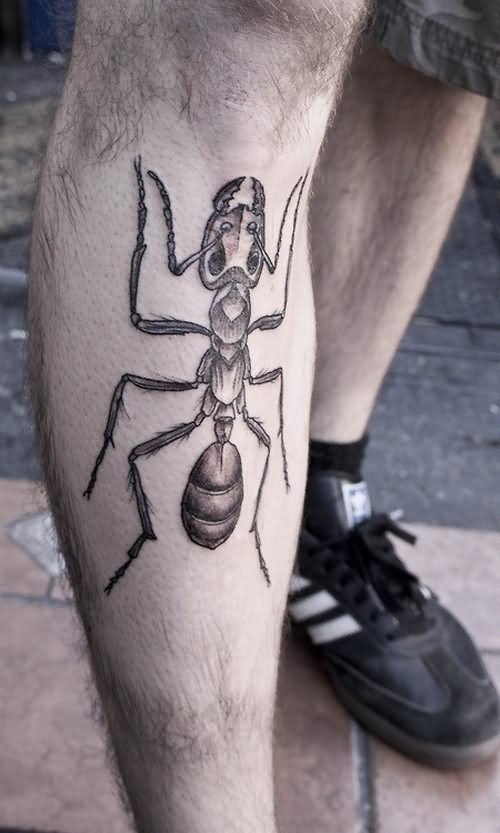 tatouage fourmis 66