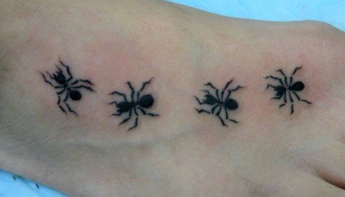 tatouage fourmis 72