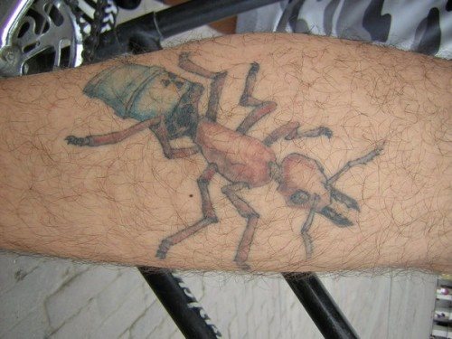 tatouage fourmis 84