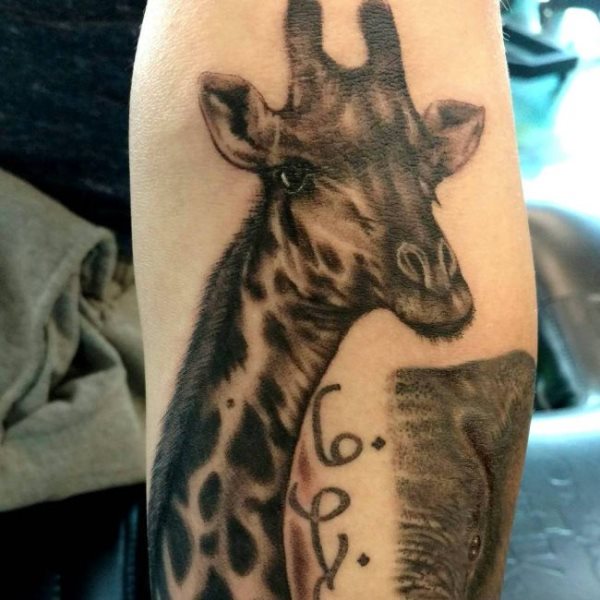 tatouage girafe 126