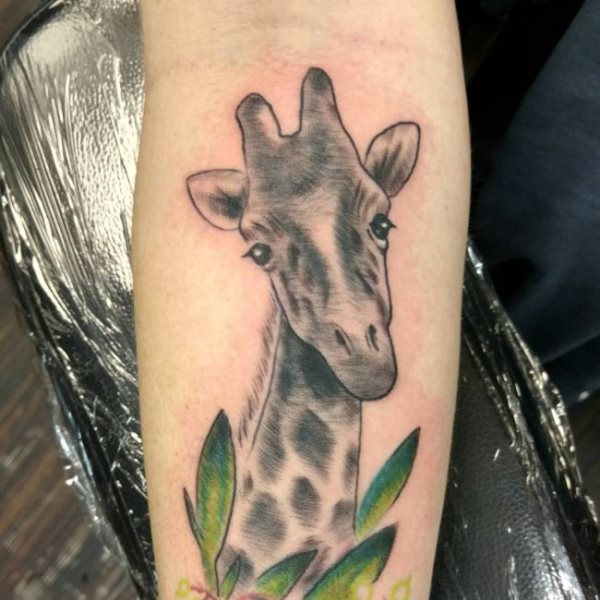 tatouage girafe 186