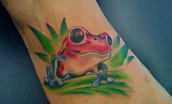 tatouage grenouille 230