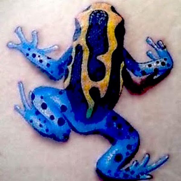 tatouage grenouille 30