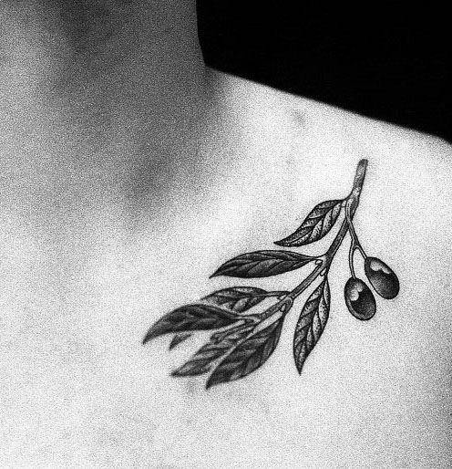 tatouage rameaux oliviers 05