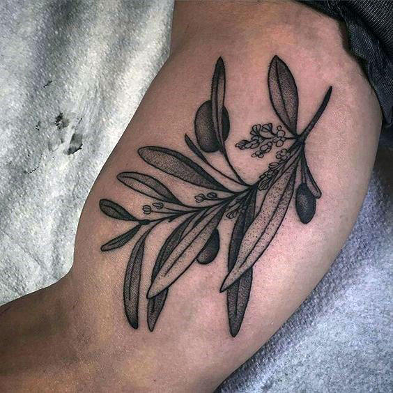 tatouage rameaux oliviers 101