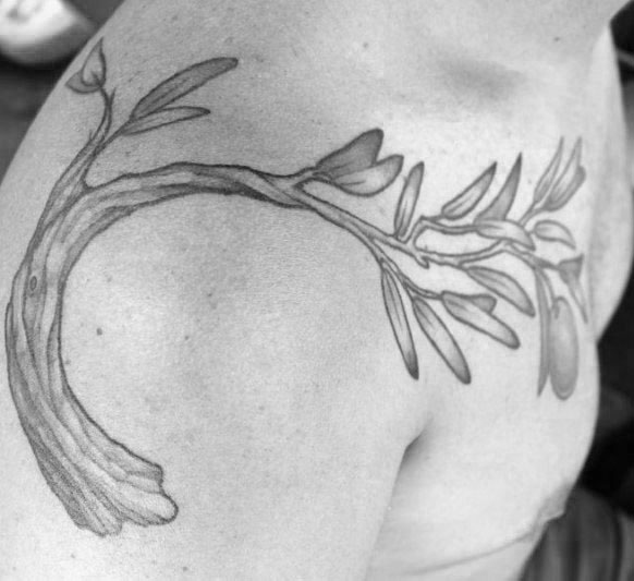 tatouage rameaux oliviers 19