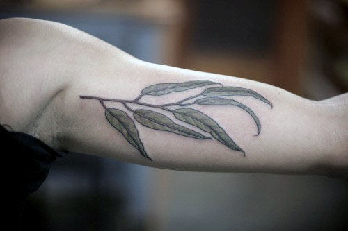 tatouage rameaux oliviers 35
