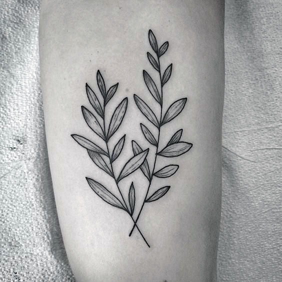 tatouage rameaux oliviers 47