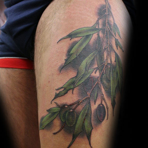 tatouage rameaux oliviers 55