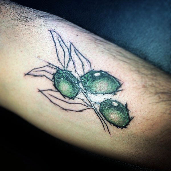 tatouage rameaux oliviers 79