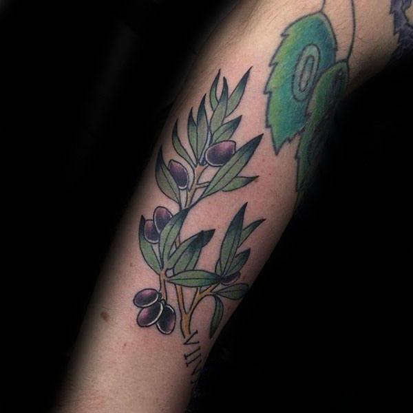 tatouage rameaux oliviers 97