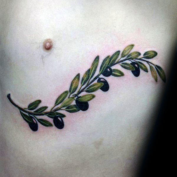 tatouage rameaux oliviers 99