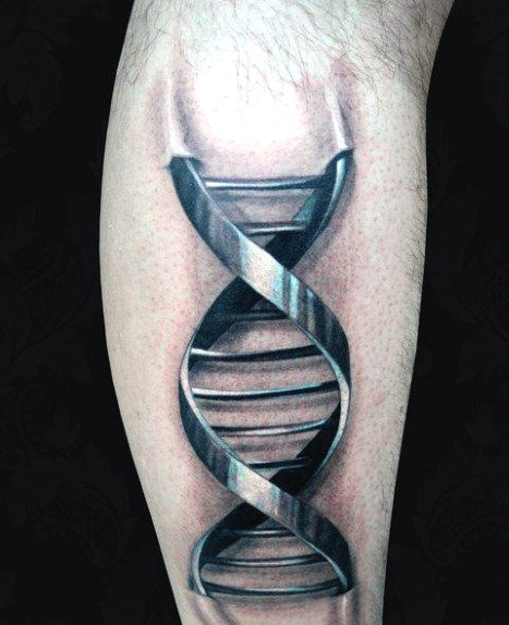 tatouage science 233