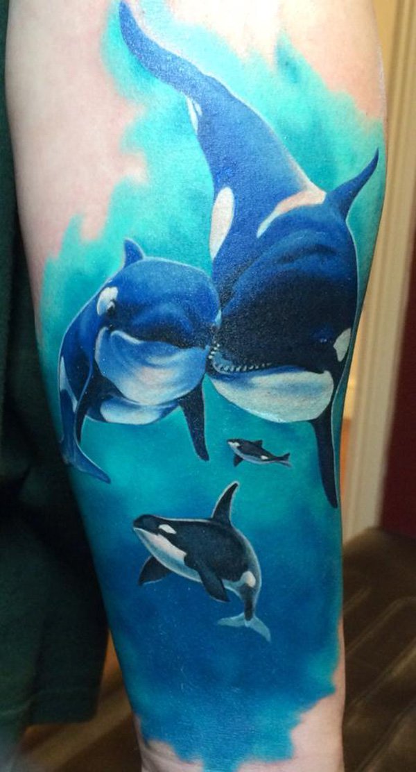 tatouage dauphin 15