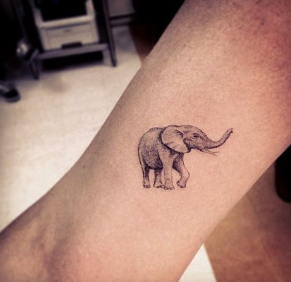 dessin tatouage elephant 1272