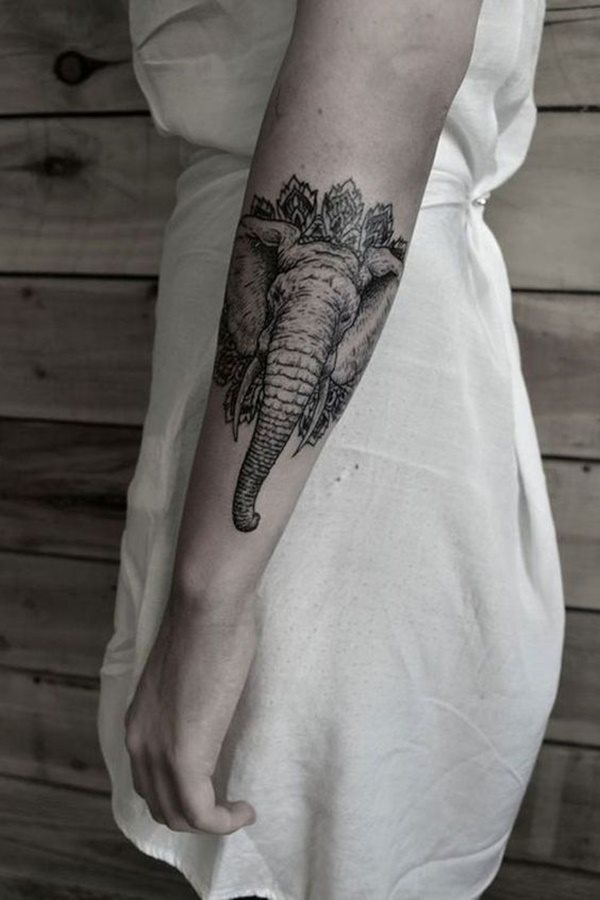 dessin tatouage elephant 1467