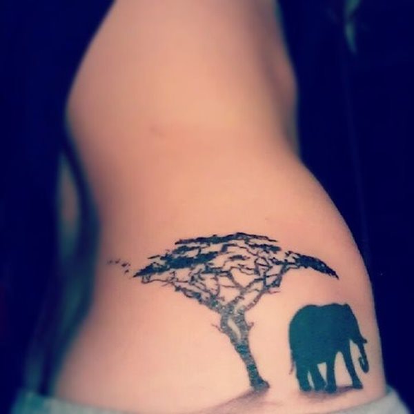 dessin tatouage elephant 2273
