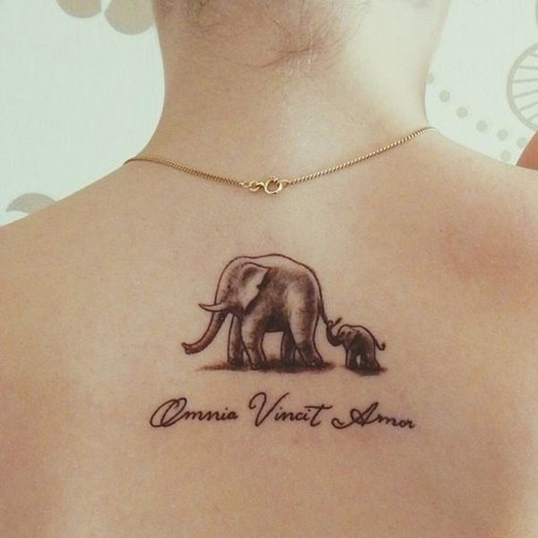 dessin tatouage elephant 2364