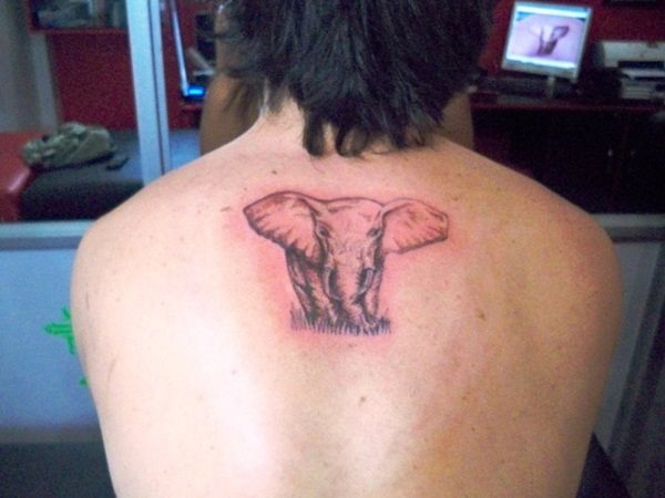 tatouage elephant 142