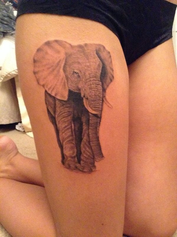 tatouage elephant 181