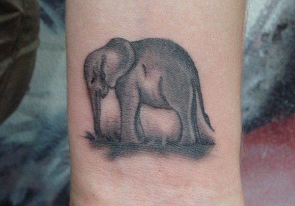 tatouage elephant 376