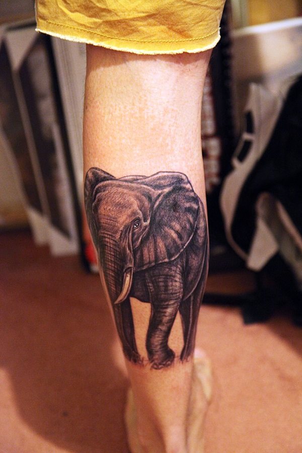 tatouage elephant 597
