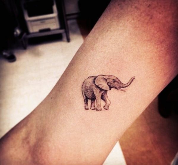 tatouage elephant 610