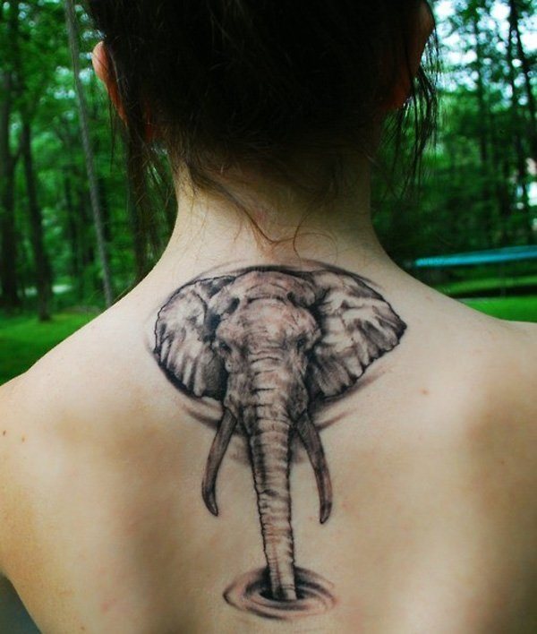 tatouage elephant 805