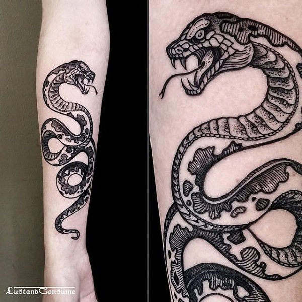 tatouage serpent 180