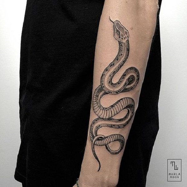 tatouage serpent 349